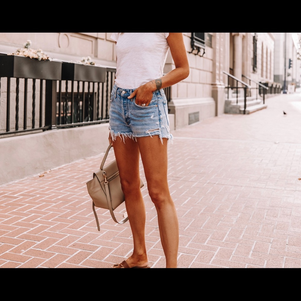 Agolde Parker Jean Shorts in Swampmeet
